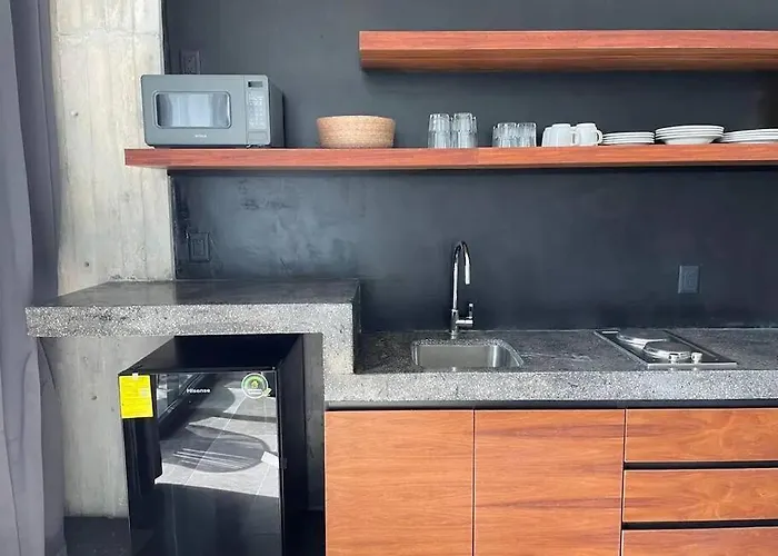 Beautiful Downtown Apartment